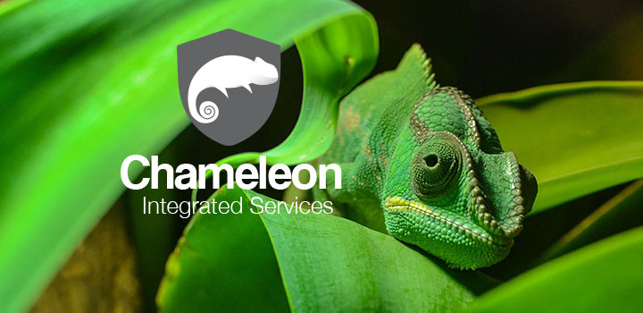 cham_lizard | Chameleon Integrated Services